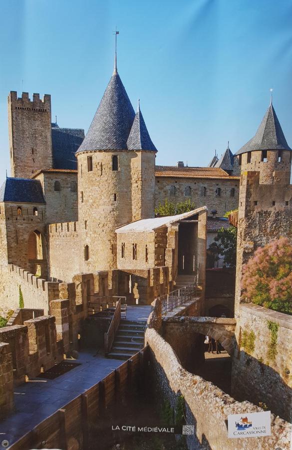 Ma Pierre A L'Edifice, Face A La Cite Vue Sublime, Studio Avec Terrasse Carcassonne Eksteriør billede
